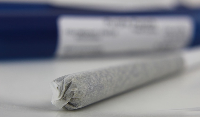 cannabis_weed_drugs_smoking.jpg