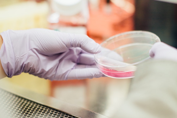 laboratory sample analysis