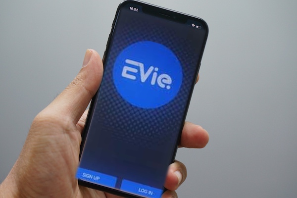 EVIE.jpg