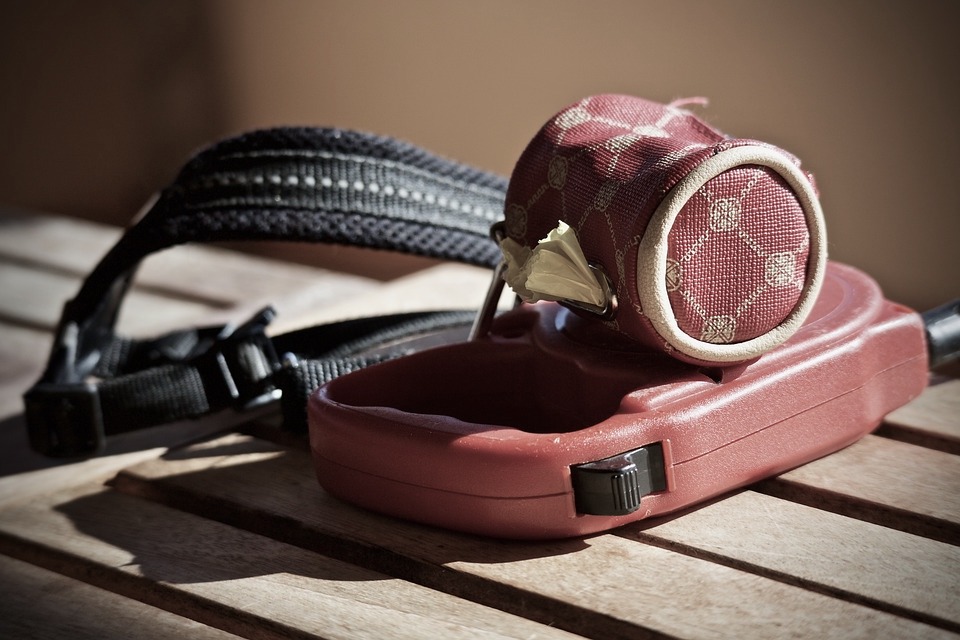 dog_lead_canine_collar.jpg