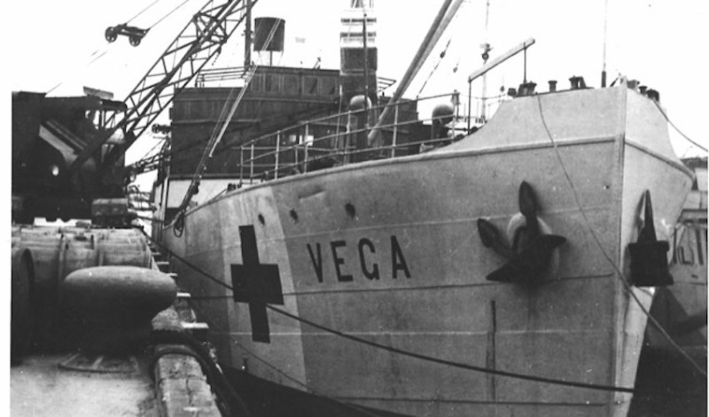 Vega_occupation_red_cross.jpg