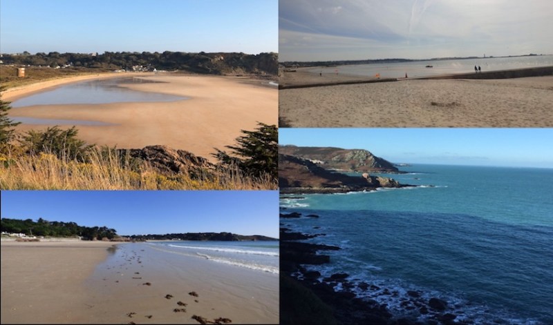 collage_beaches.jpg