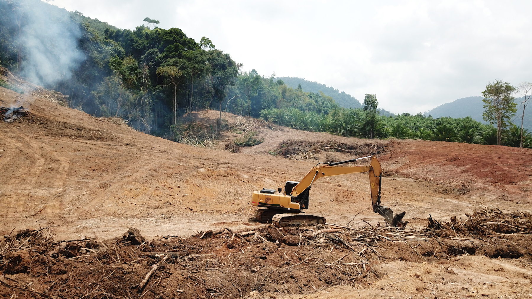 deforestationborneo.jpg