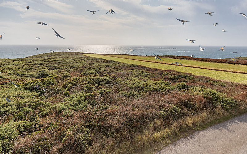 pleinmont headlands walk la societe