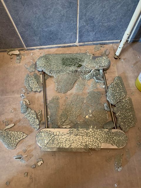 1smashed_scales.jpg