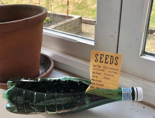 Sasha_Gibb_Seeds.jpg