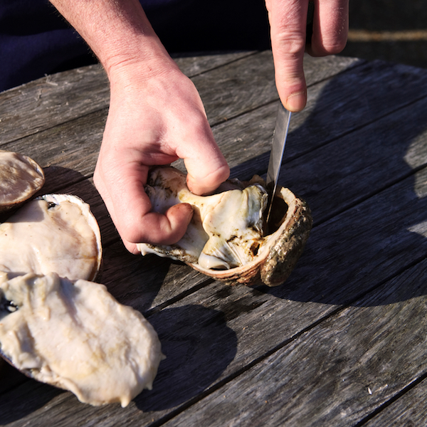 ormer