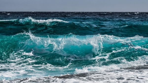 wavesea.jpg