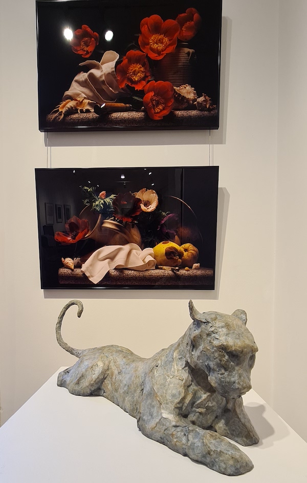 13CCA_Galleries_Summer_Exhibition_2020