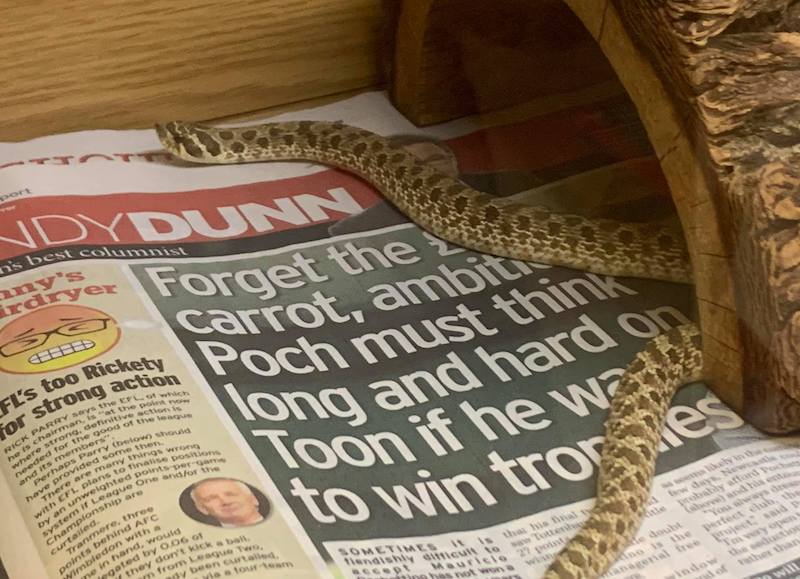 halfway_the_snake.jpg