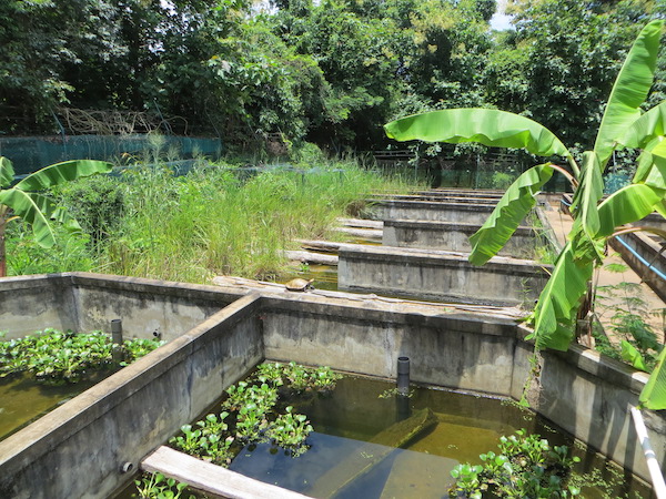 Durrell_breeding_centre_Ampijoroa_Madagascar_credit_Durrell.JPG