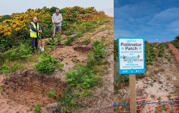 pollinator project