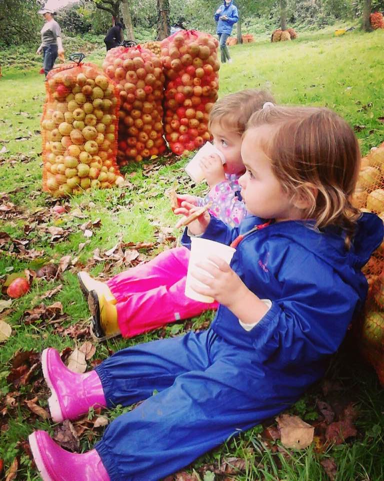 Apple_Picking_3_Jersey_Heritage.jpg