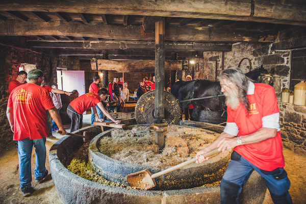 JH_Cider_Festival_credit_Melissa_Rodrigues_Photography.jpg