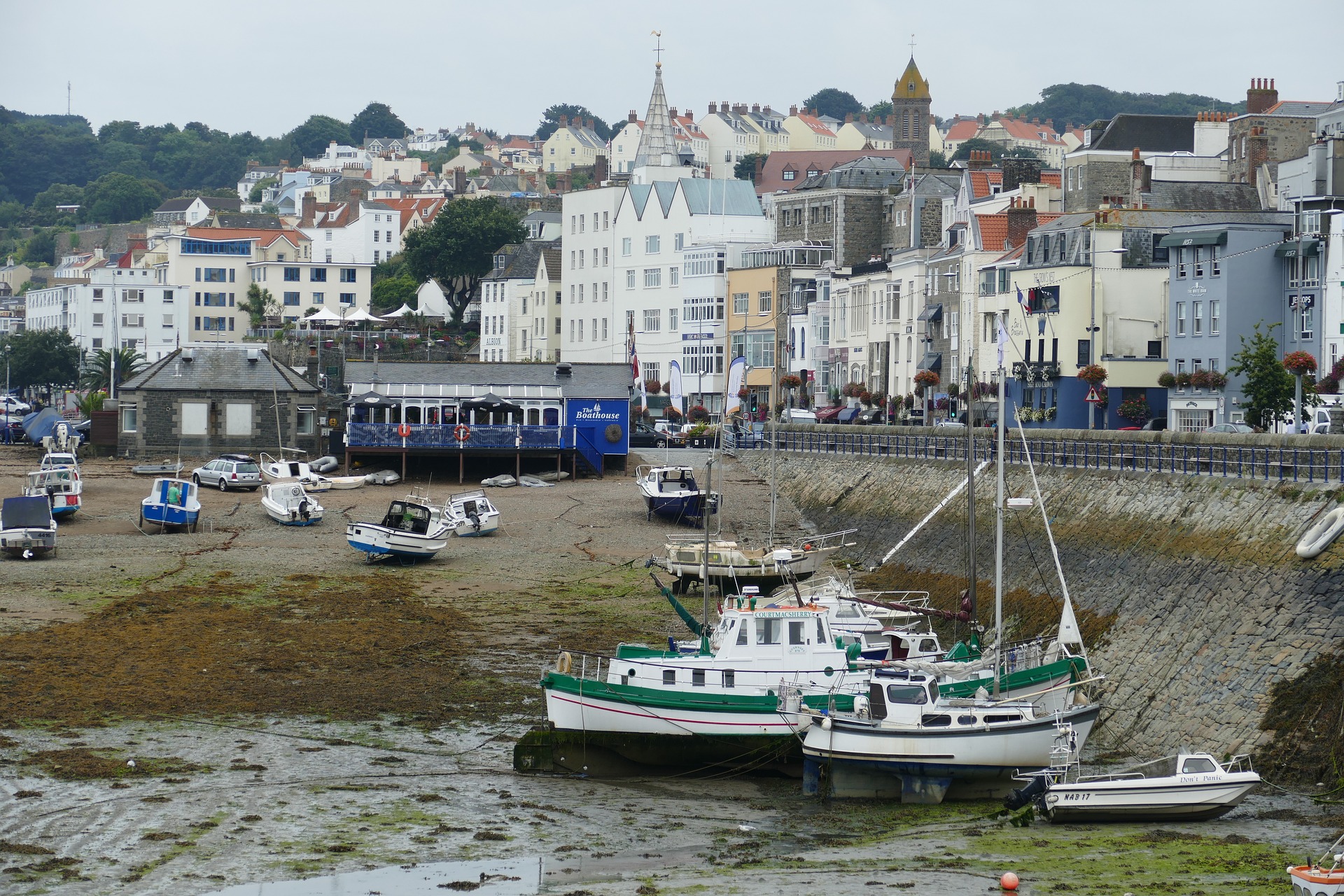 guernsey.jpg