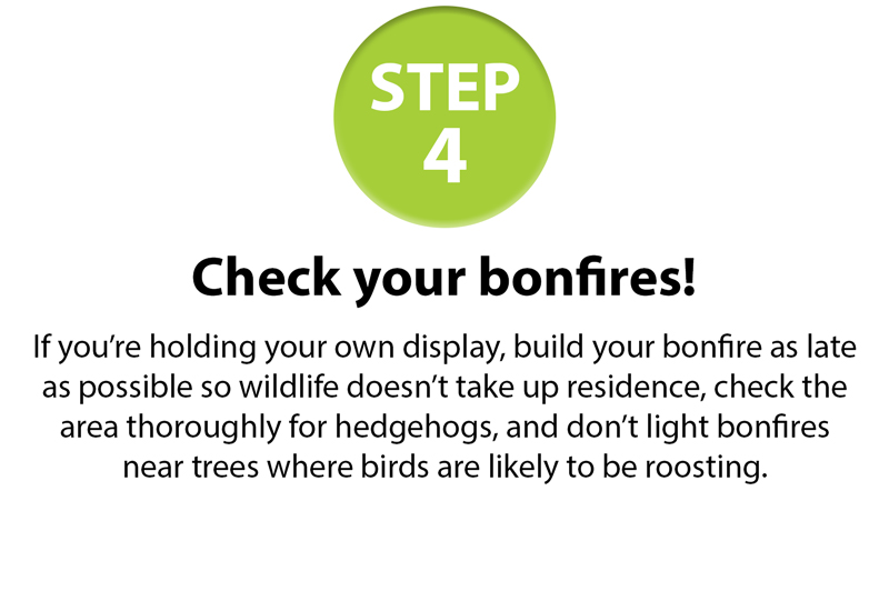 GSPCA-10-fireworksstep-guide-4