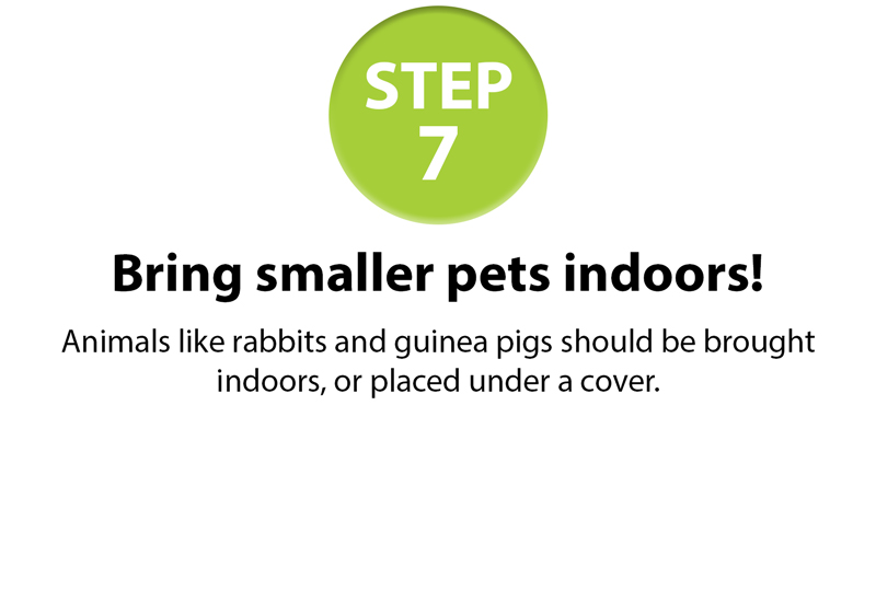 GSPCA-10-fireworksstep-guide-7