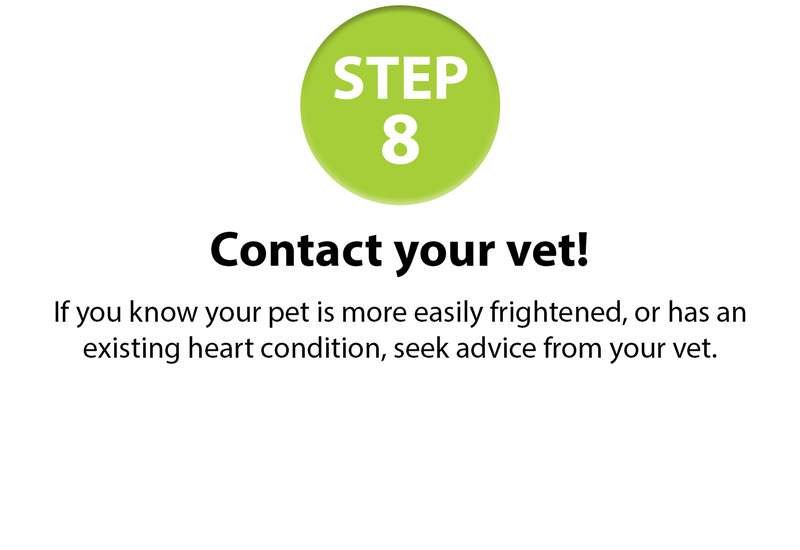 GSPCA-10-fireworksstep-guide-8