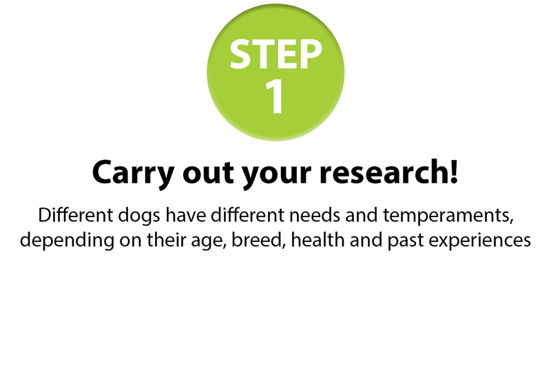 GSPCA-10-step-guide-1