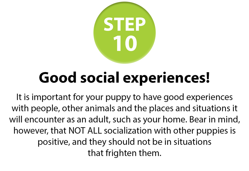 GSPCA-10-step-guide-10