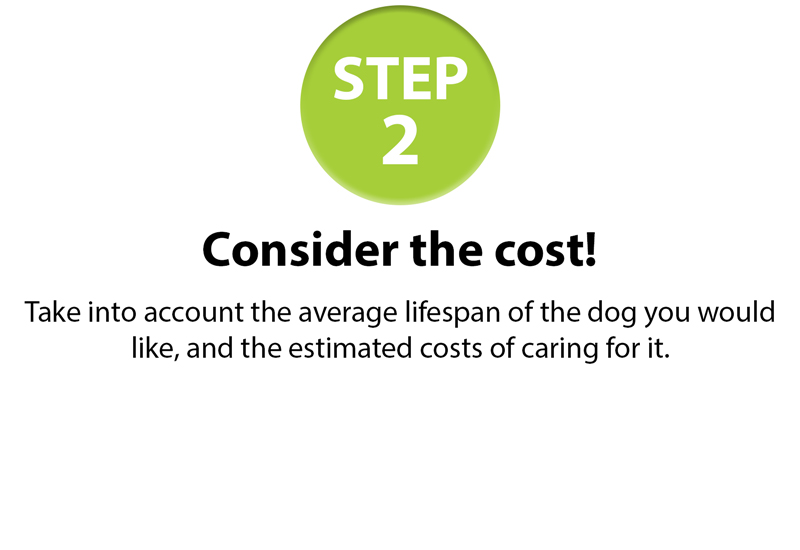 GSPCA-10-step-guide-2