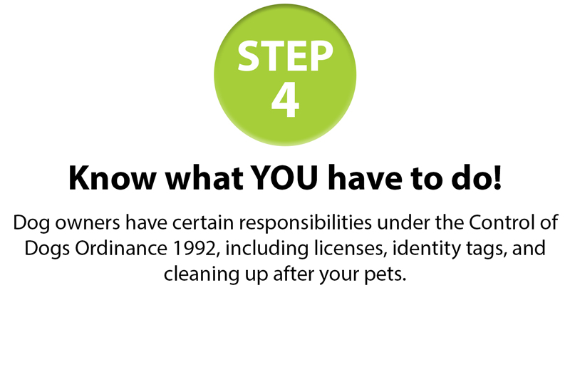 GSPCA-10-step-guide-4