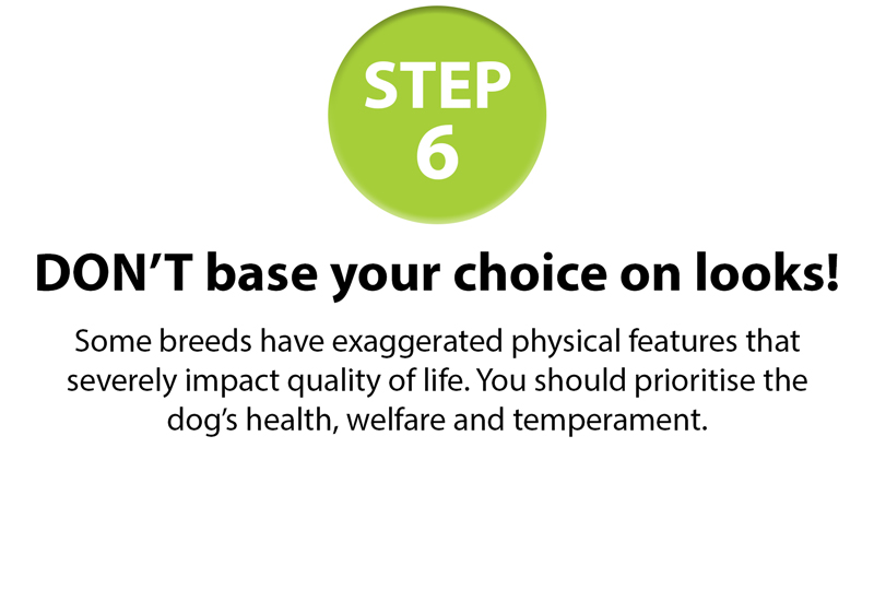 GSPCA-10-step-guide-6