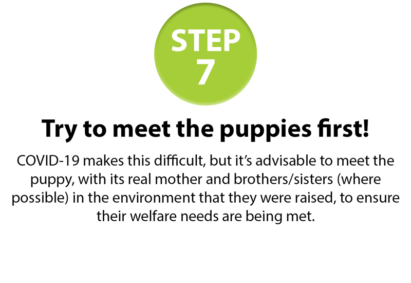 GSPCA-10-step-guide-7