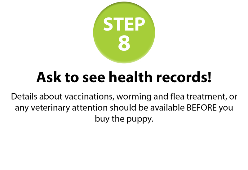 GSPCA-10-step-guide-8