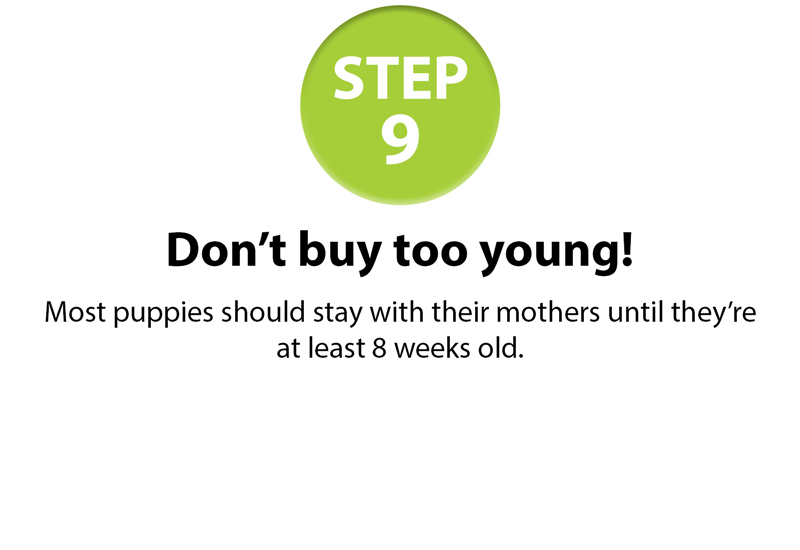 GSPCA-10-step-guide-9