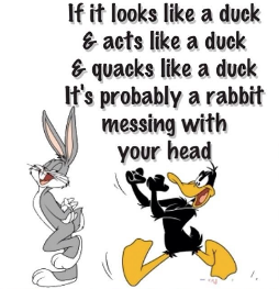 Picture_1.png