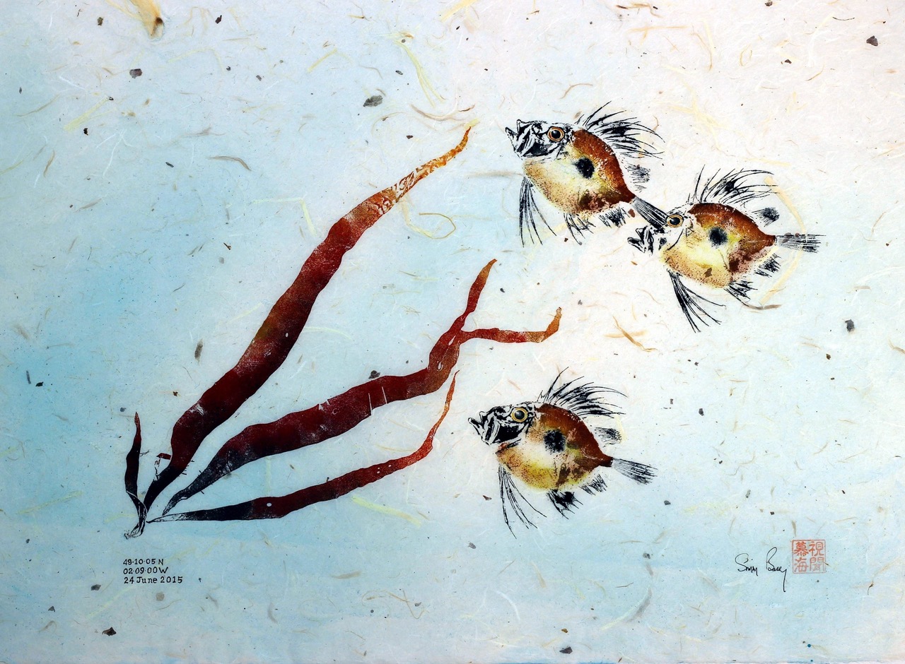 Simon_Bossy_Gyotaku_cruising_i_the_current