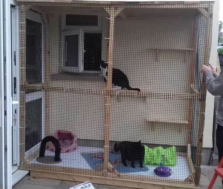 Catio_2.jpg