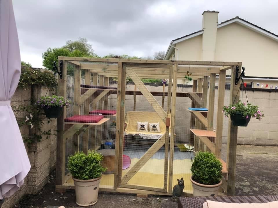 Catio_5.jpg