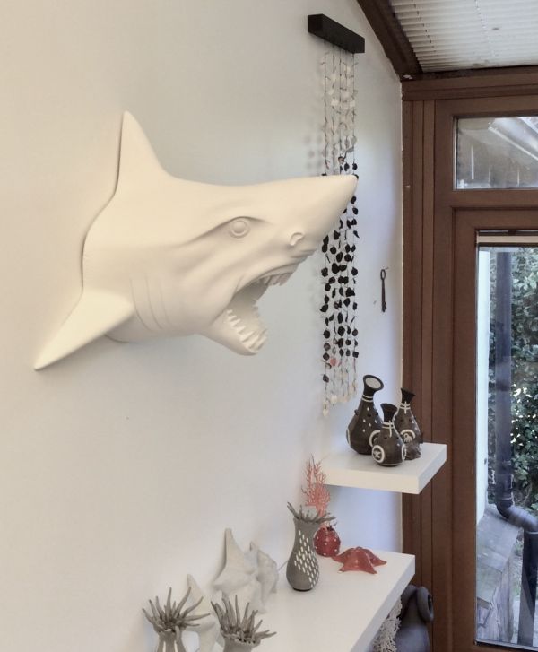 sharky_1.jpg