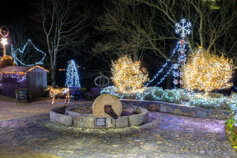 BEXmas-2233
