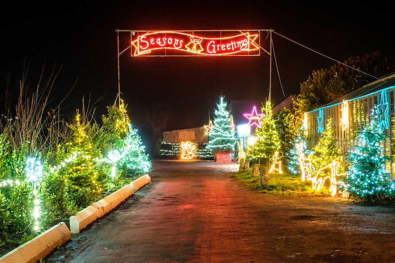 BEXmas-2238