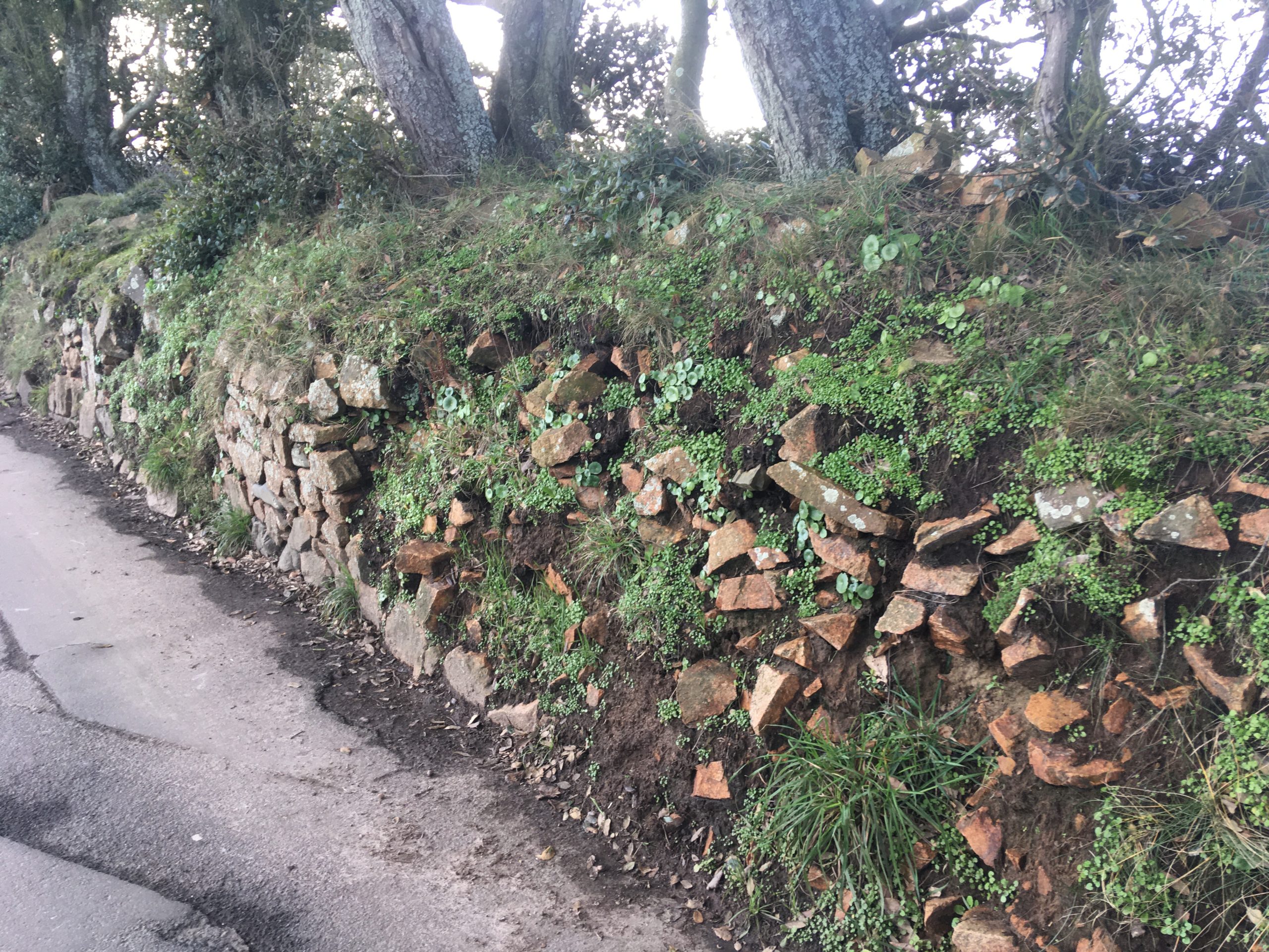 Dry stonewall.jpeg