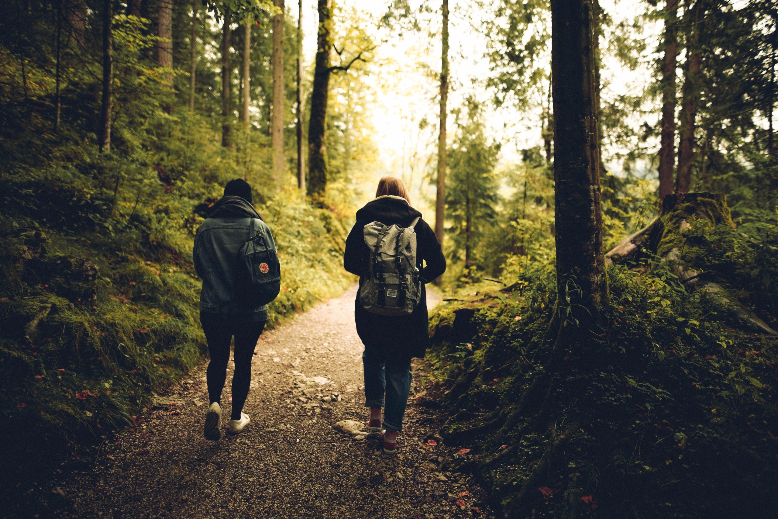 walking1.jpg