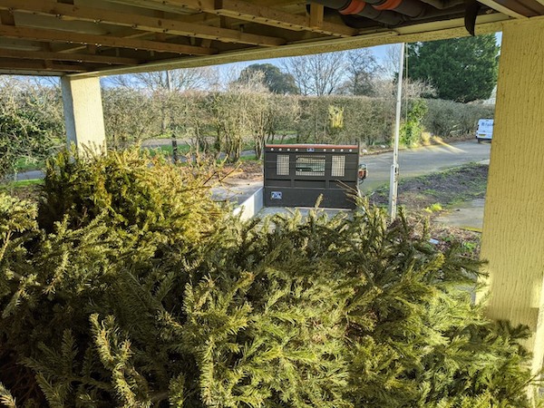 xmas_trees_Hospice_20-21.jpg