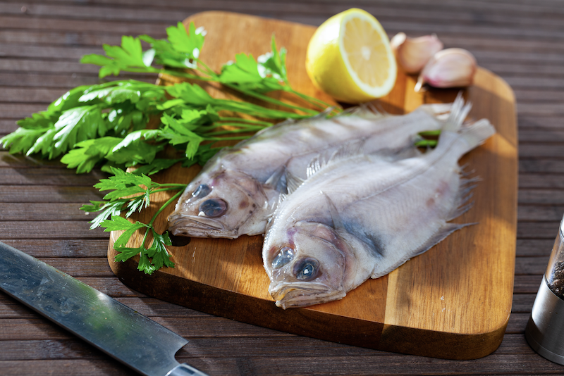 Cornish_sole.png