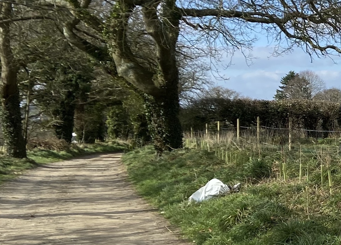 GR8_hedgerow.jpg