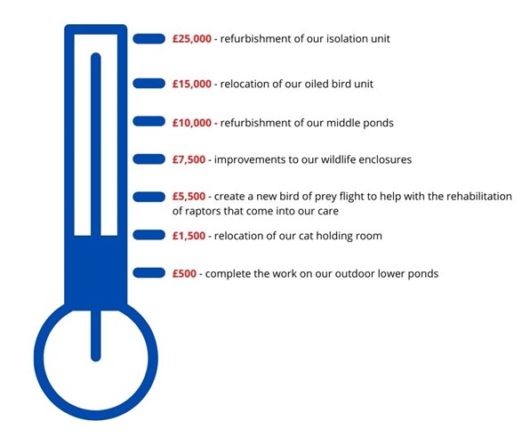 jspca£1pledge-thermometer