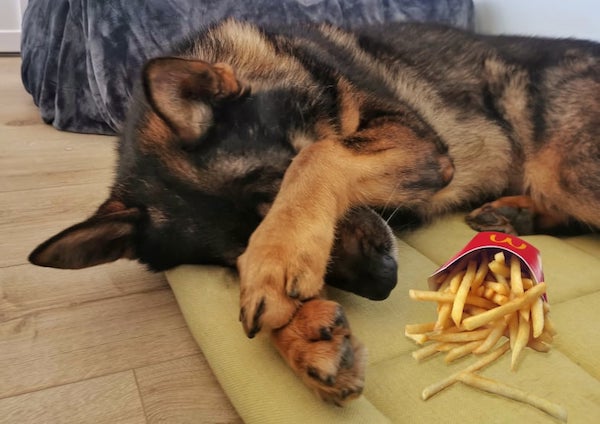 Exercise_I_thought_you_said_extra_fries.jpg