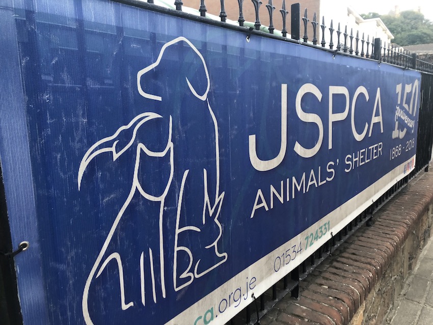 JSPCA_Animals_Shelter_charity.JPG