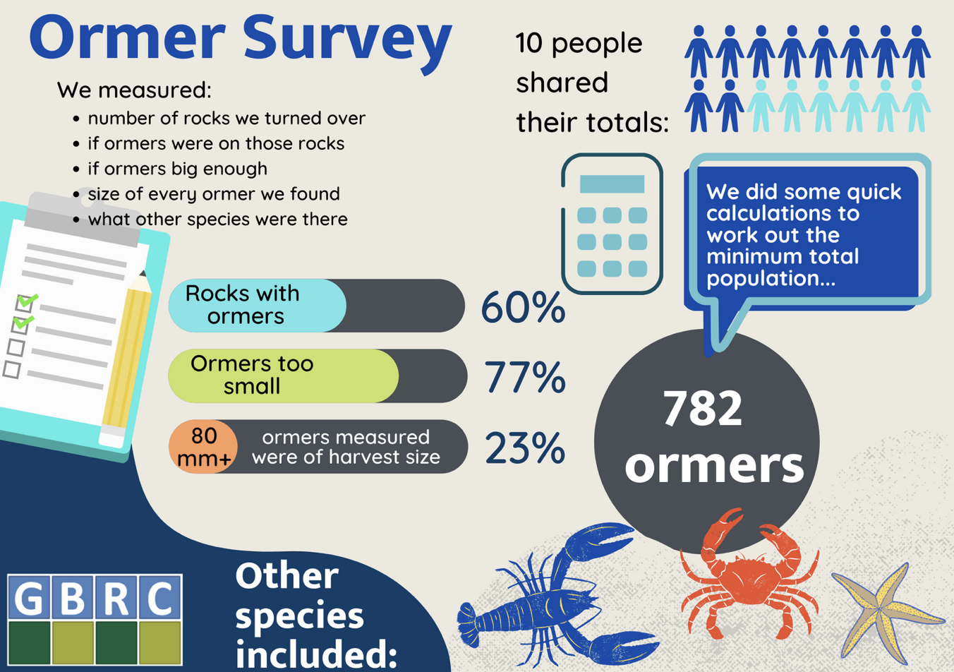 Ormer_Survey.png