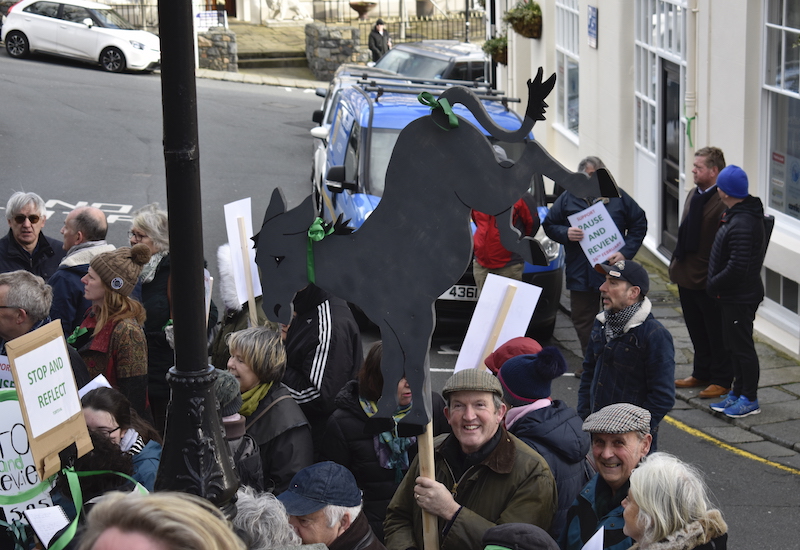 education_protest_donkey.JPG