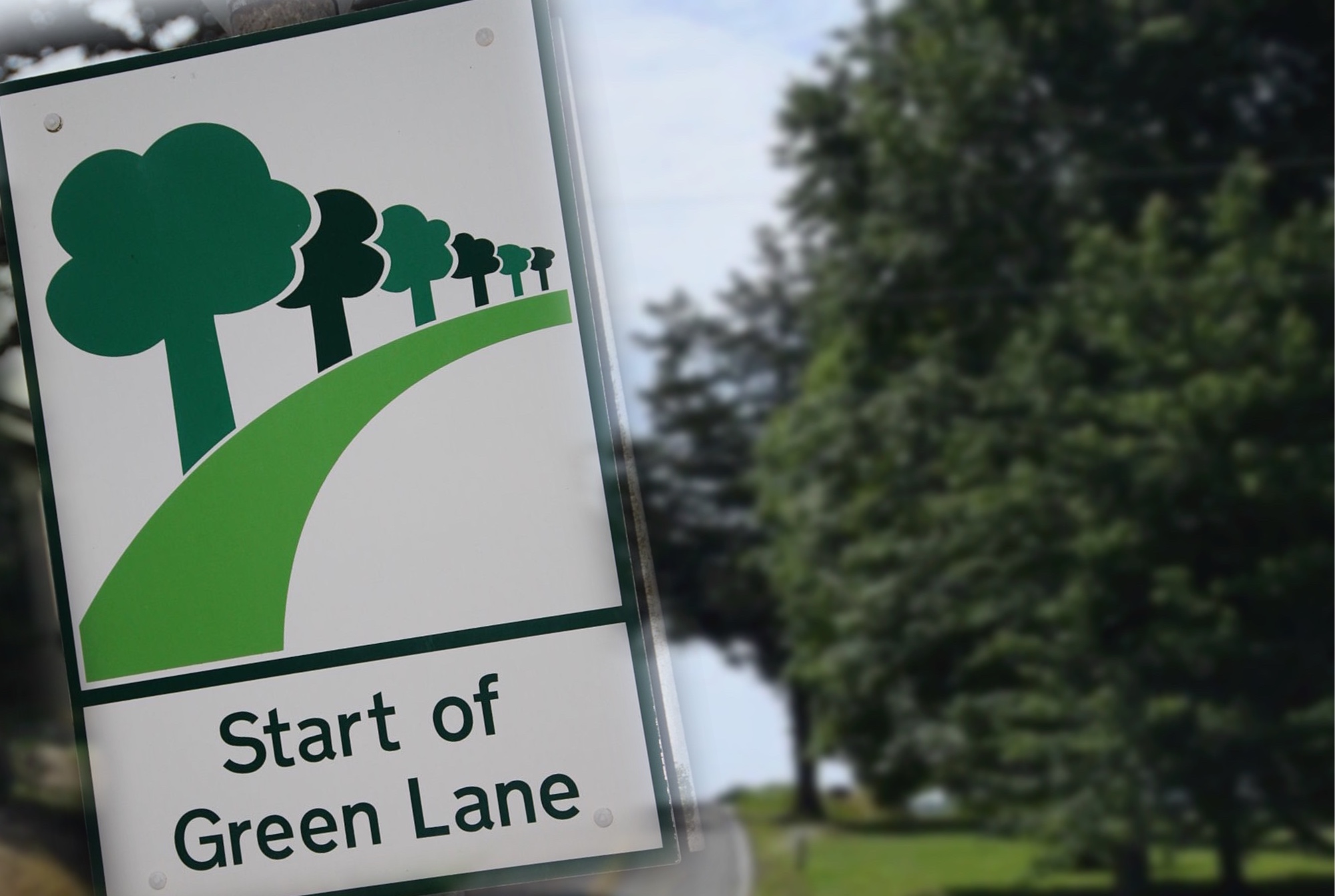 greenlane.jpg