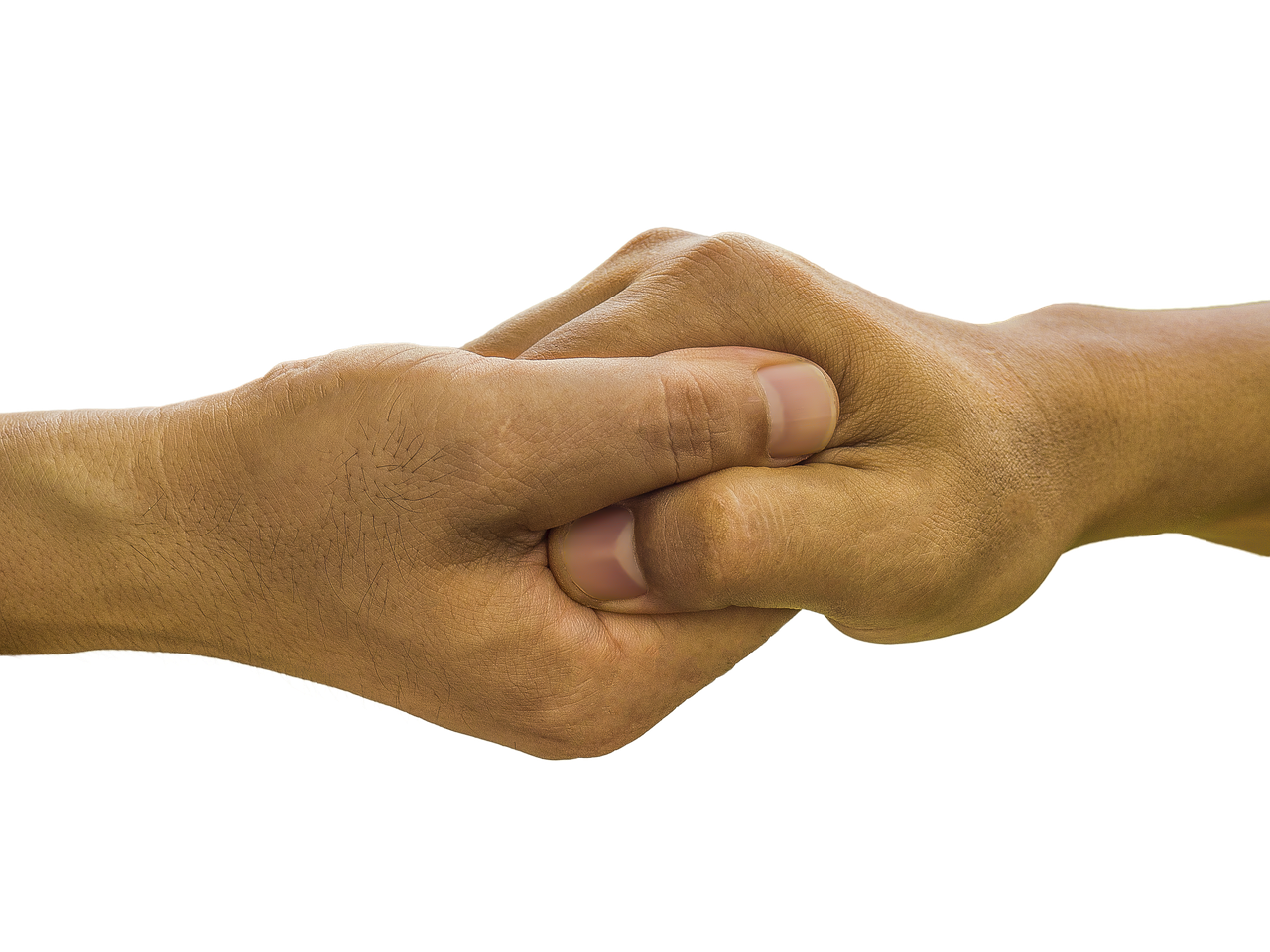48E82E00-F5E8-49FC-819E-336EBAE55733.png