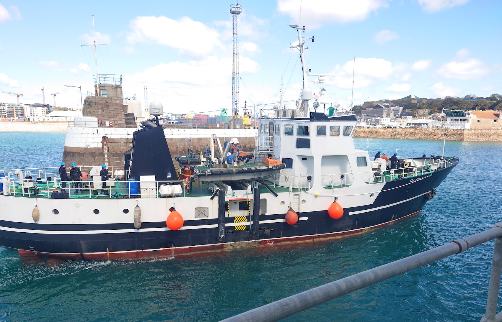 seashepherd